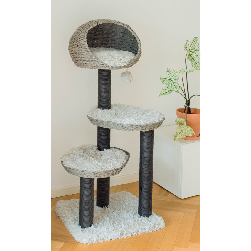 Tucker Murphy Pet™ 50" Amagansett Cat Condo & Reviews Wayfair